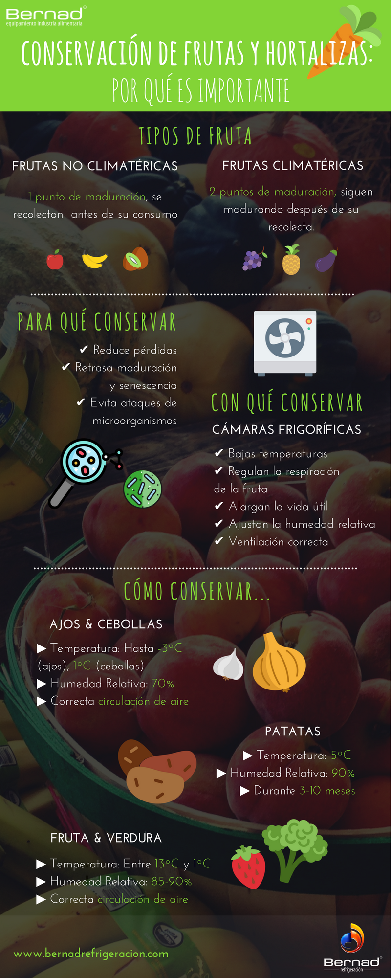 conservacion fruta