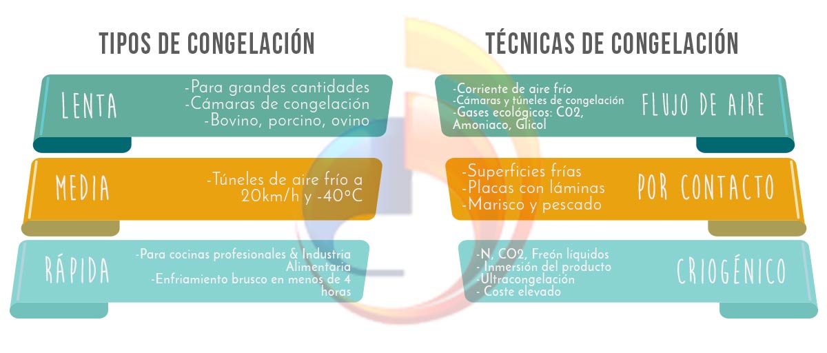 tabla camara congelacion