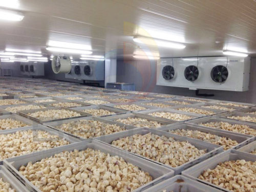 Cámaras frigoríficas para sector agroalimentario. Instalaciones con todas las garantías