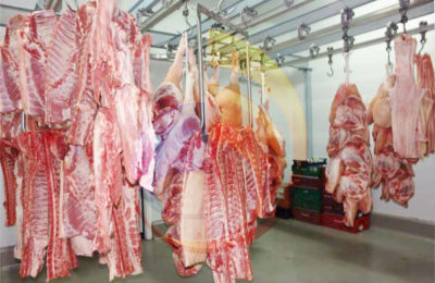 Cárnicas Gras ham and sausage factory with twin track rail