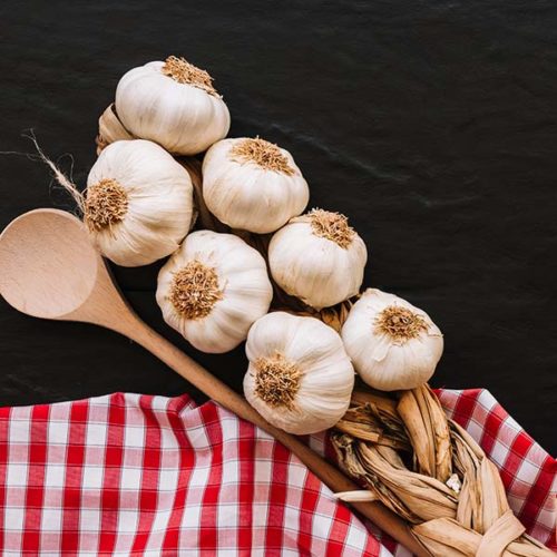 origen ajo Bernad Refrigeración Blog