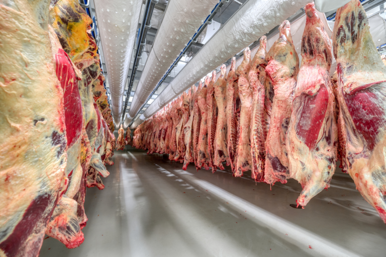 EL ARTE DE LA CONSERVACIÓN EN LA INDUSTRIA CÁRNICA: UN VIAJE FRÍO Y FASCINANTE