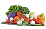 Ilustración de verduras